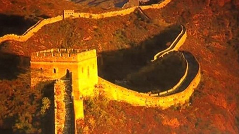 Pod pokličkou - Saké, nákyp, těstoviny - z rýže jsou i laskominy