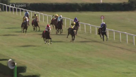 Turf - 29. července 2015