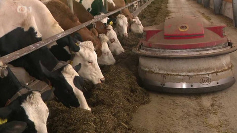 Reportéři ČT - 30. listopadu 2020