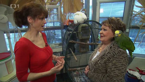 Hobby naší doby - 11. března 2017