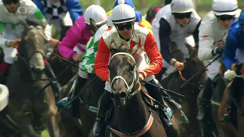 Dostihy - 101. České Derby