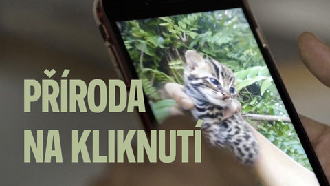 Příroda na kliknutí