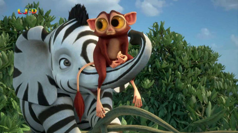 Zafari - 10/13 Zafari zlavnost / Všechnostrom