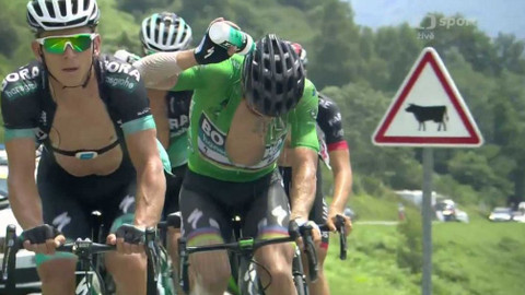 Tour de France - 19. etapa