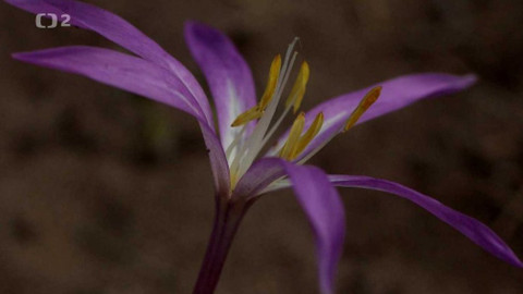 Kvarteto - Ekologie v malém