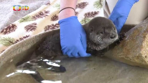 Zprávičky - 18. března 2021