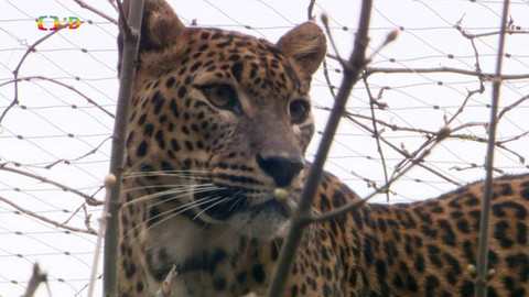 Terčin zvířecí svět - 26. května 2023