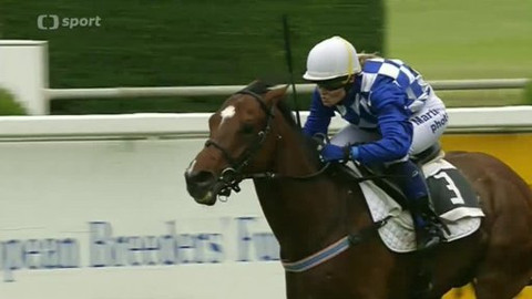 Turf - 25. června 2014