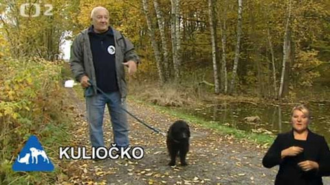 Chcete mě? - Chcete je?