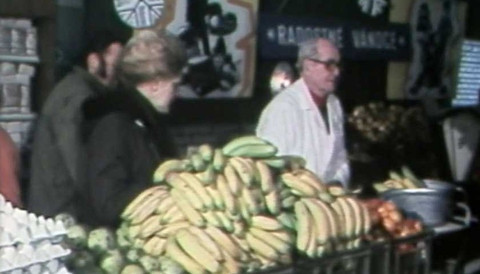 Archiv ČT24 - Předvánoční shon