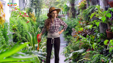 Hýbánky - Včera bola neděla