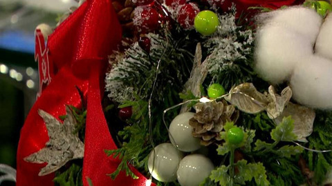 Sama doma - 24. listopadu 2022