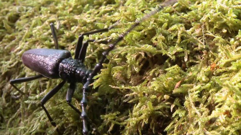 Novinky z přírody - Epizoda 23/53