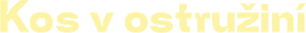 Kos v ostružiní