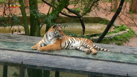 Zprávičky - 24. srpna 2018