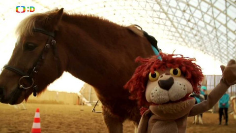 Lvíčata - 7. ledna 2017