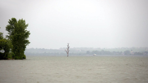 Nedej se! - Vysoká hladina omylu