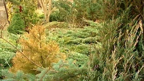 Zahrada je hra - 17. července 2008