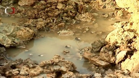 Zahrada je hra - 4. prosince 2008