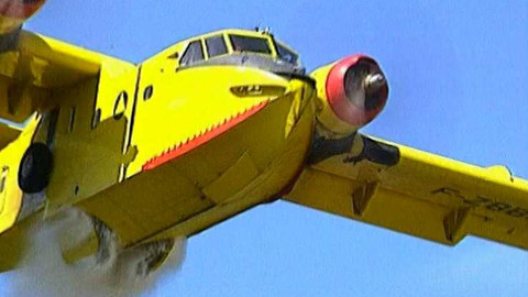 Popularis - 8. února 2005