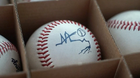 Pražský softballový týden