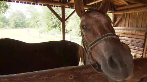 Chcete mě? - 4. října 2015