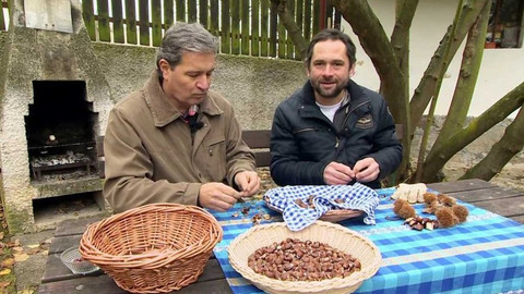 Polopatě - 3. prosince 2017