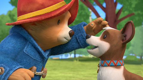 Dobrodružství medvídka Paddingtona - 25/52 Jak Paddington potkal Luckyho