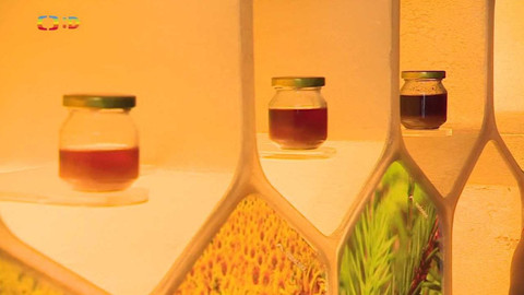 Zprávičky - 20. května 2022