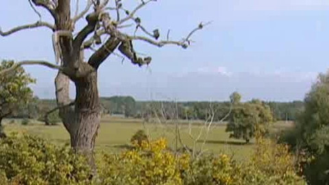 Přidej se - Moravská amazonie