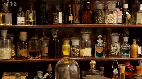 Kvarteto - Moudrost přírody