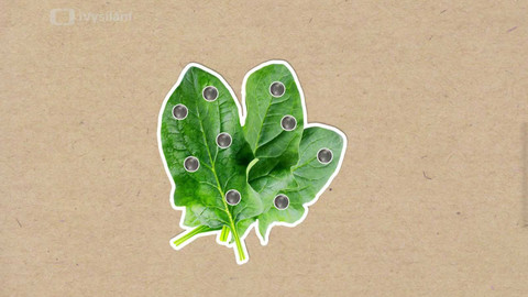 To je něco! - Je pravda, že po špenátu budete mít větší sílu?