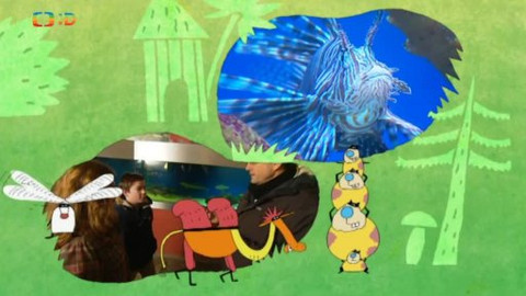 Náš zvěřinec - Doktoři moří