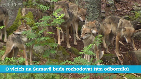 Události v regionech (jih a západ) - 30. října 2024