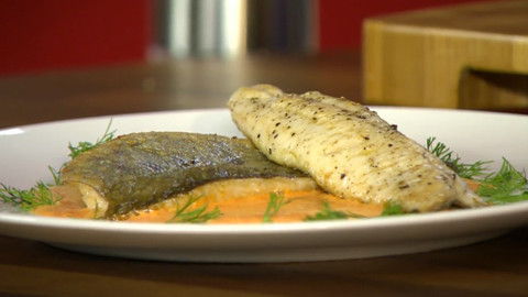 Vše o vaření - 28. dubna 2014