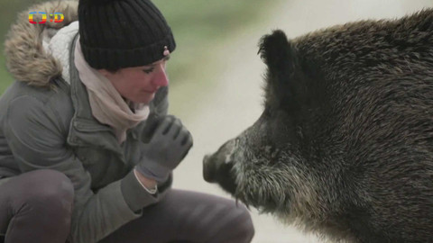 Zprávičky - 18. ledna