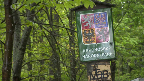 Nedej se! - Politika rozkladu