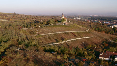 Milovníci vína - 2/12 Ryzlink, kam se podíváš