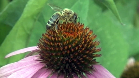 Toulavá kamera - 7. října 2012