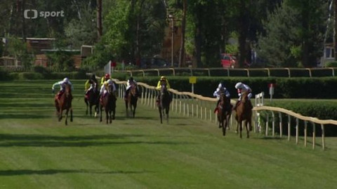 Turf - 10. června 2015