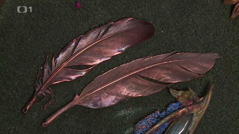 Toulavá kamera - 29. března 2020