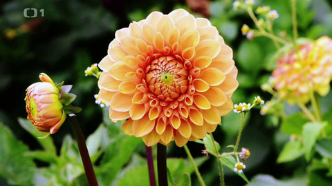 Polopatě - 7. dubna 2024