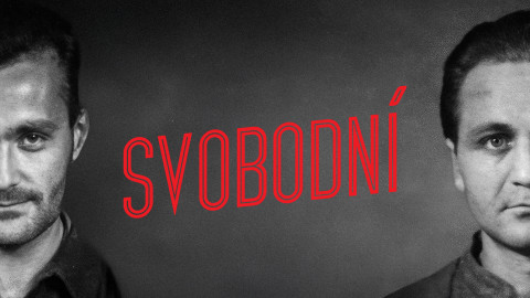 Svobodní