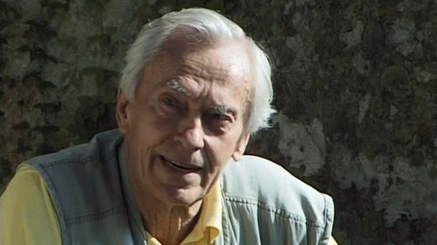 Sloni žijí do sta let