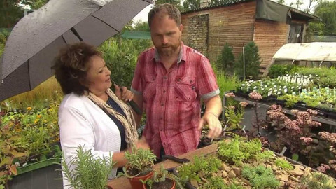 Hobby naší doby - 5. října 2019