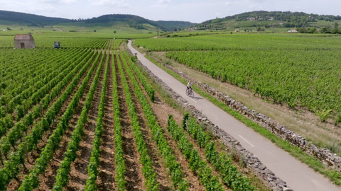 Milovníci vína - 1/12 Kde není vína, není lásky. Euripidés