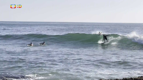 Zprávičky - 8. června 2024