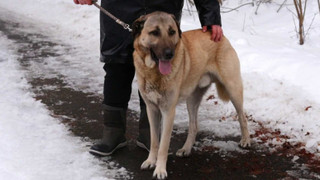 Co naše babičky uměly a na co my jsme zapomněli