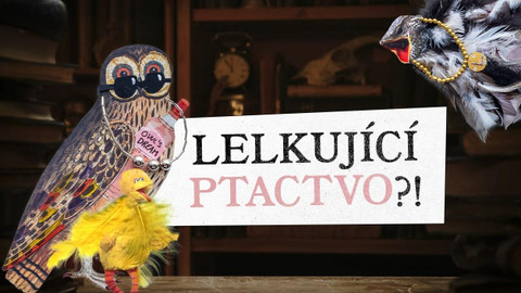 Jazykovědma - Chytat lelky