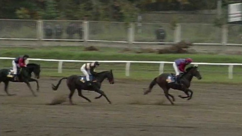 Velká pardubická - 1998